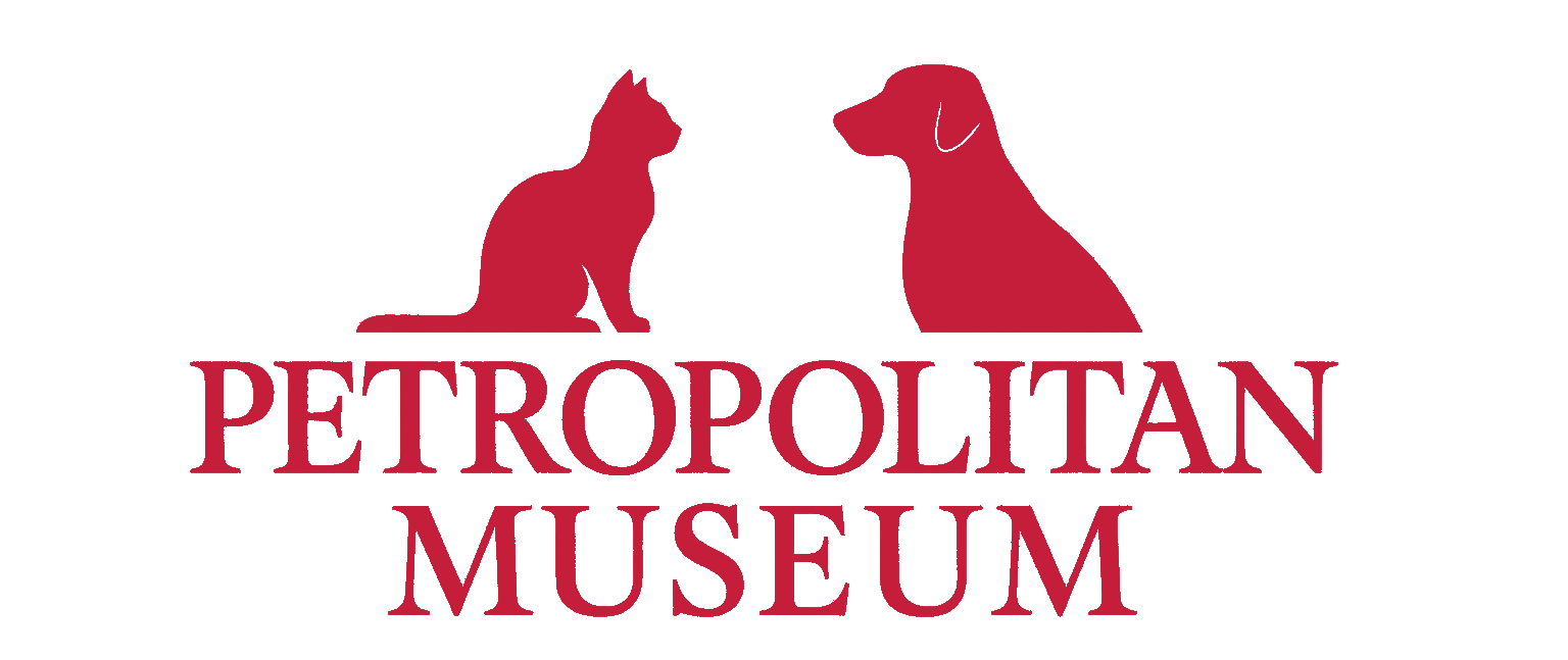 Petropolitan Museum Icon